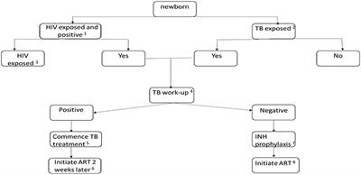 Tuberculosis and HIV—An Update on the “Cursed Duet” in Children